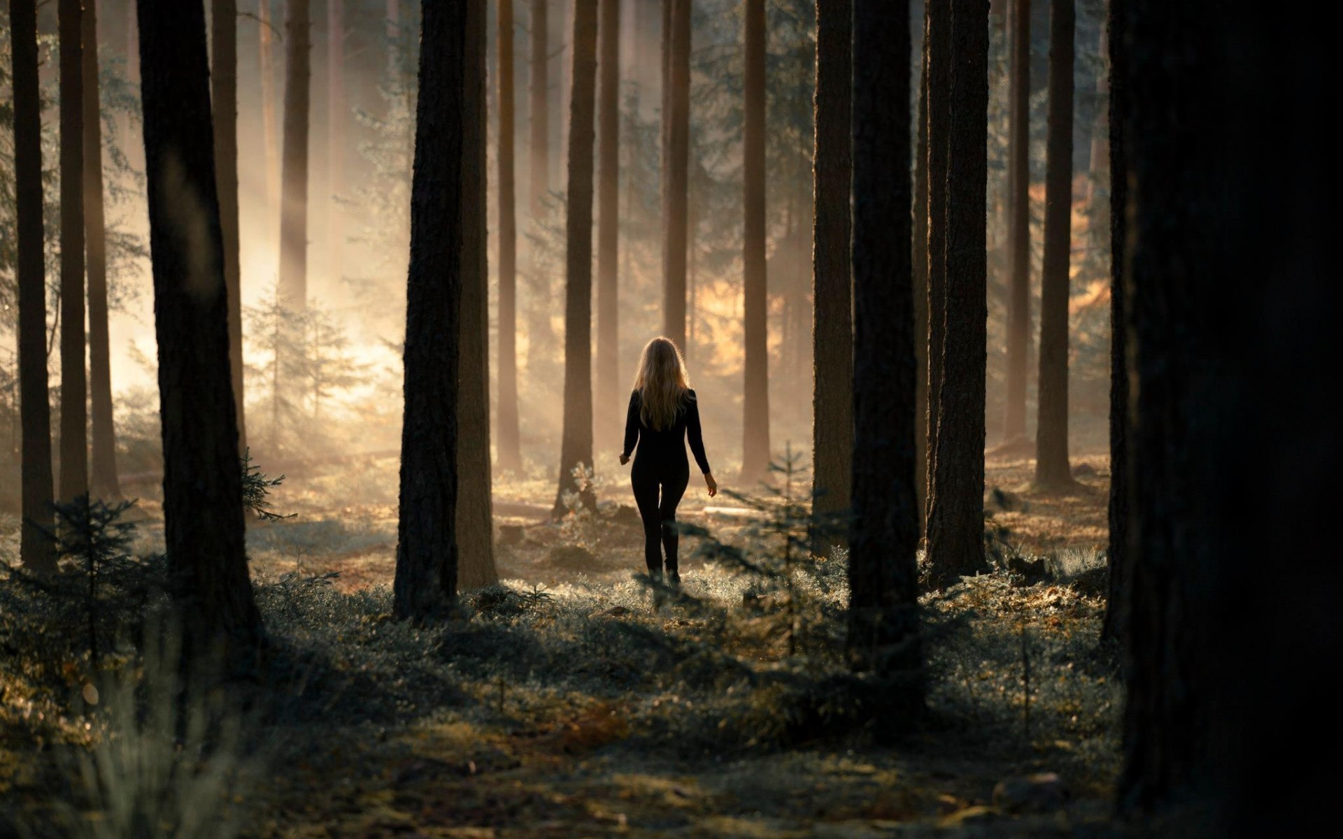 Forest HD Wallpaper Walking Alone In The