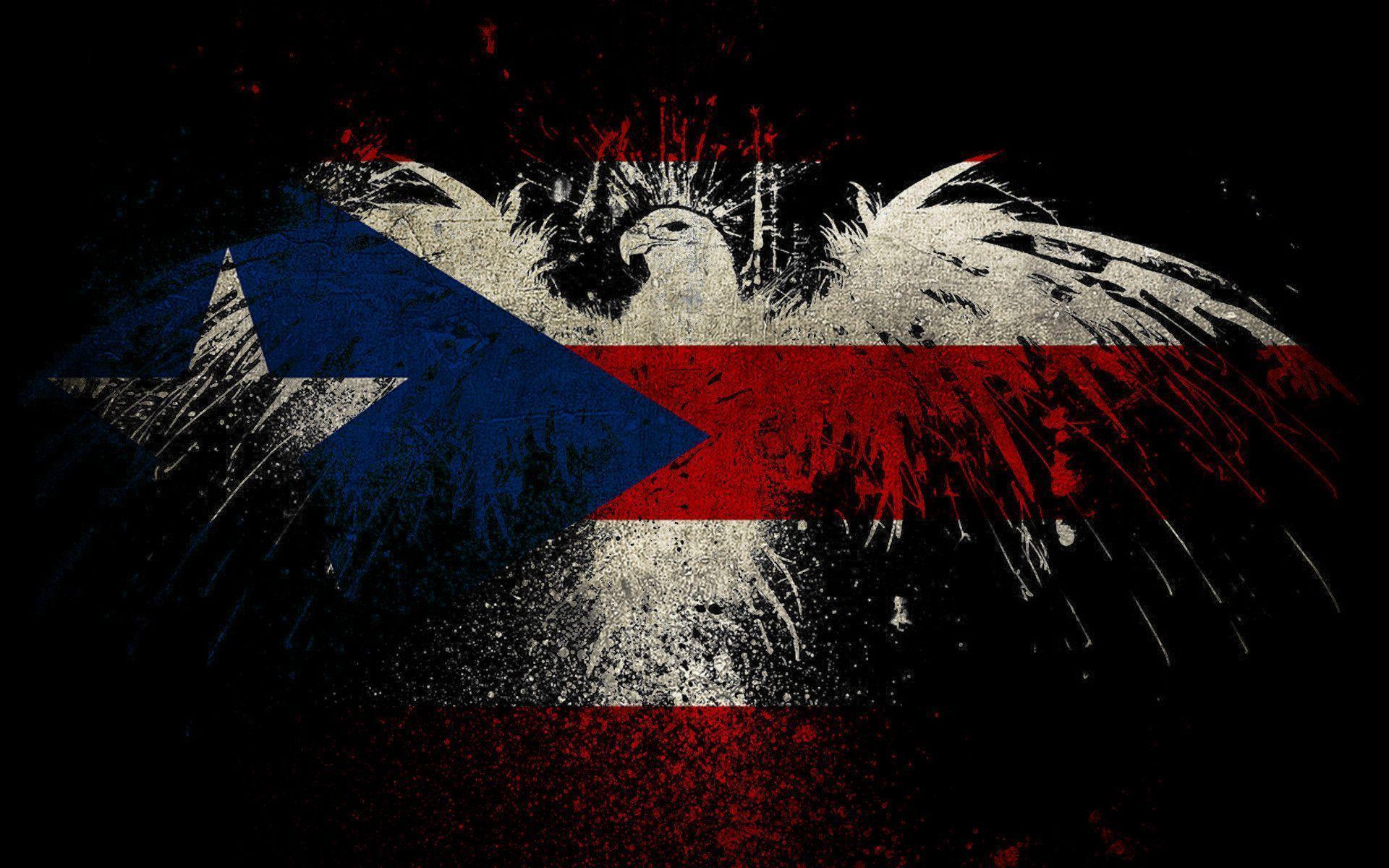 Gallery For Gt Cool Puerto Rican Flag Wallpaper