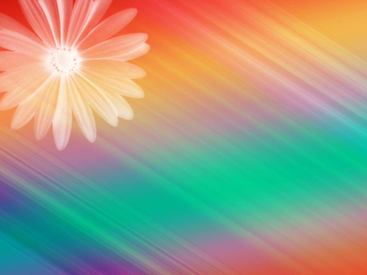 Colorful Background Designs For Powerpoint Elegant Floral Design