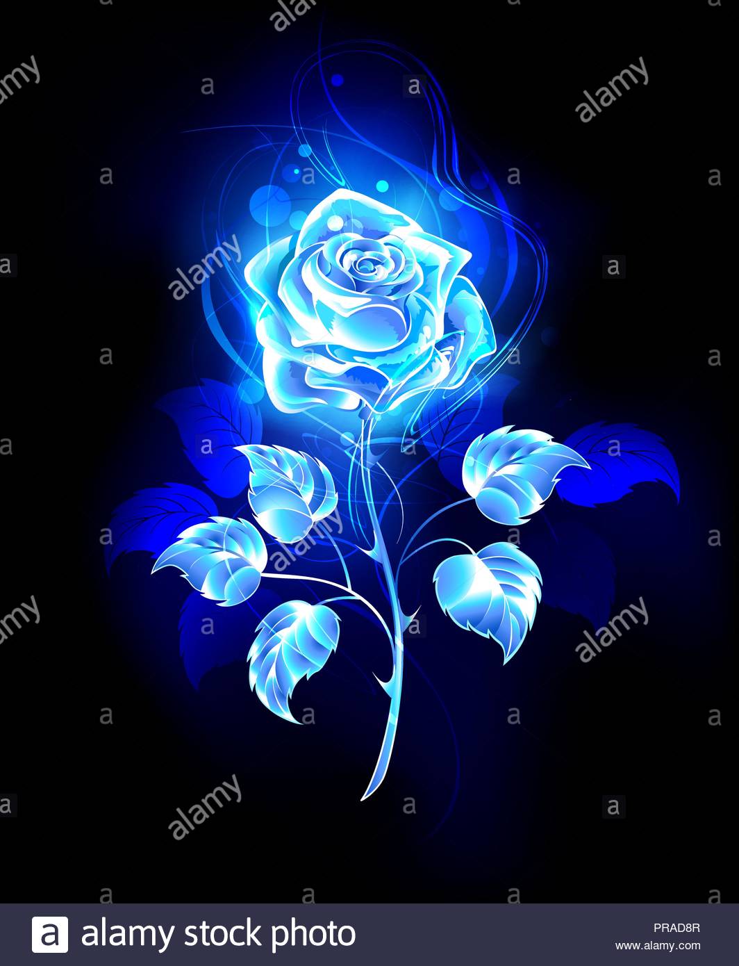 Blooming Abstract Rose From Blue Flame On Black Background Stock