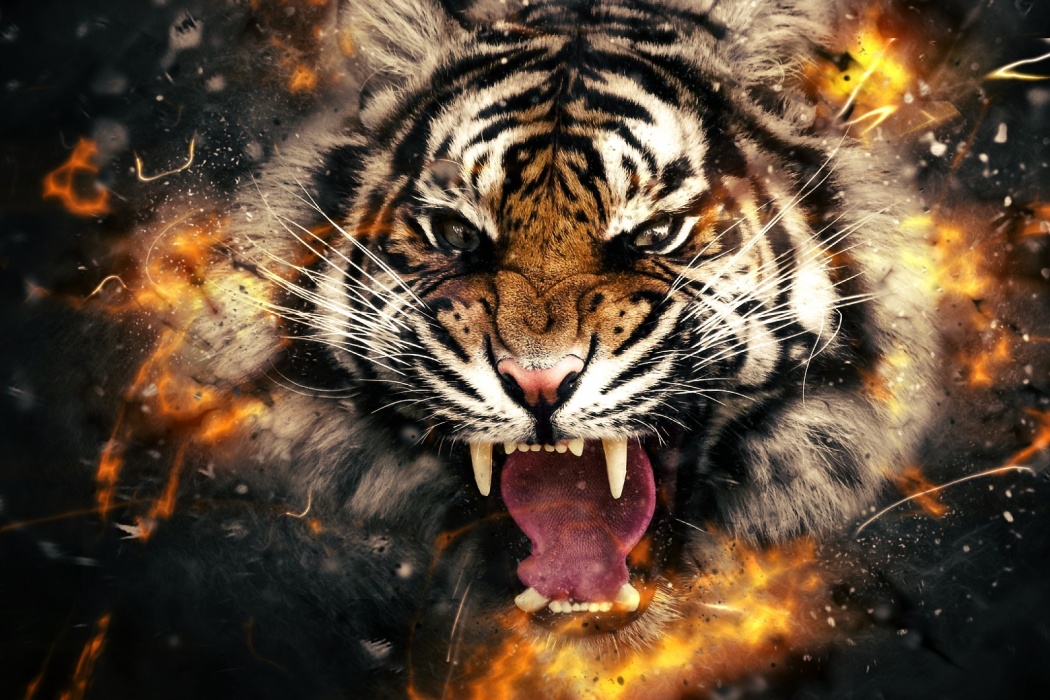 Tiger Roaring Face Abstract Wallpaper Best HD