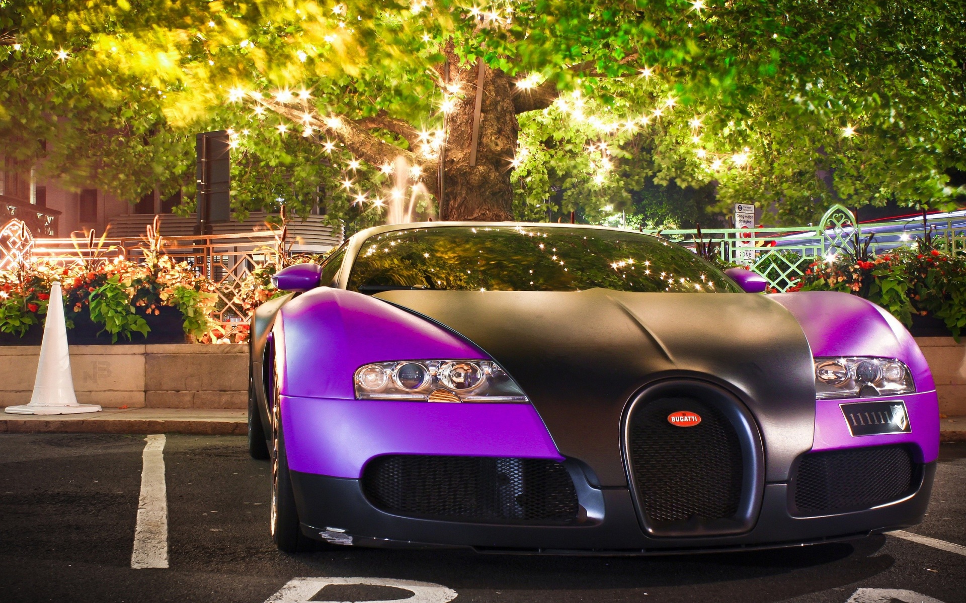 Purple Black Bugatti Veyron Wallpaper Wallpaper55