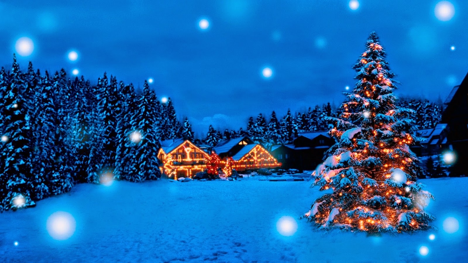 Free download Christmas Tree Winter HD Wallpaper 1600x900 px [1600x900 ...