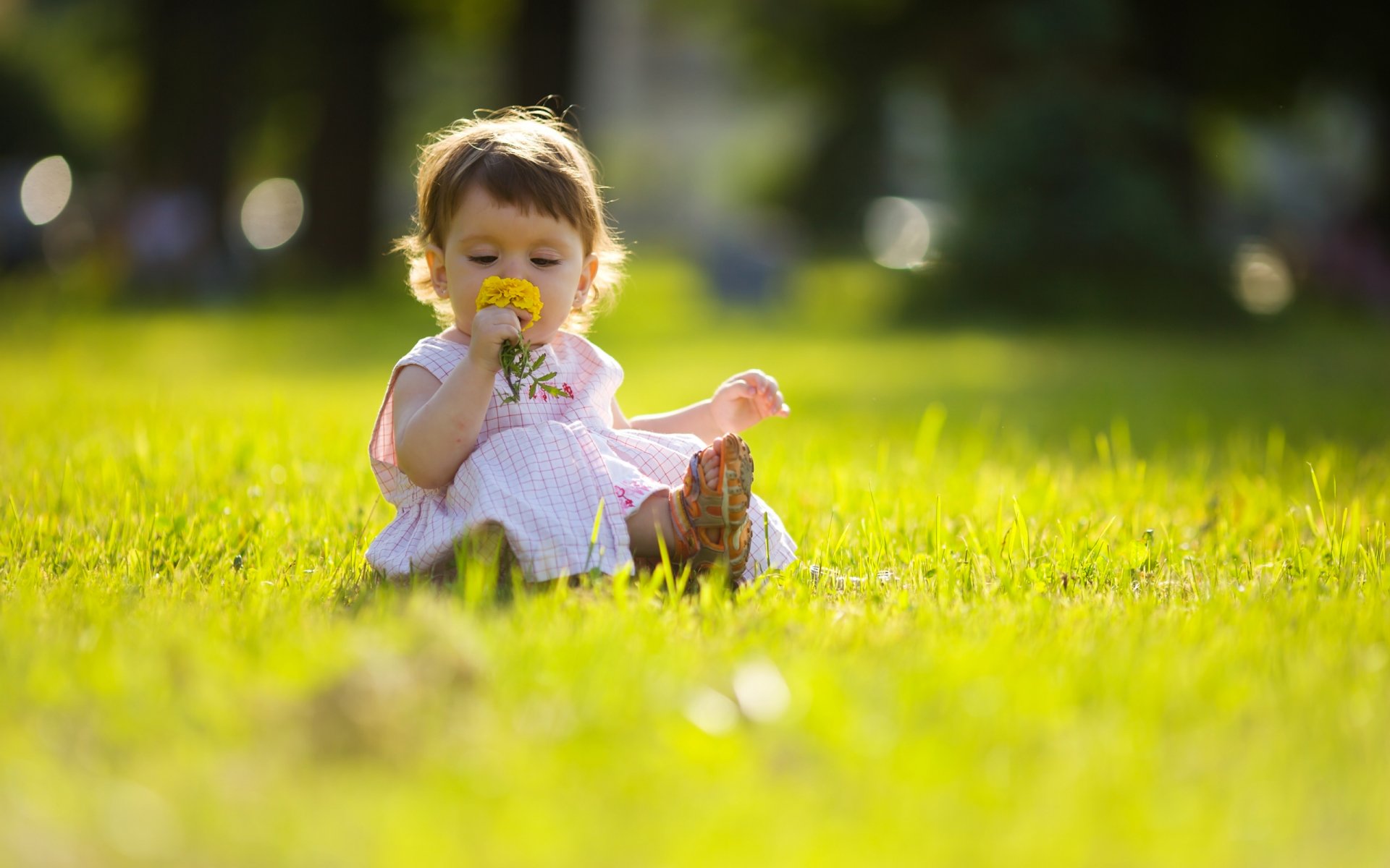 Photography Baby HD Wallpaper