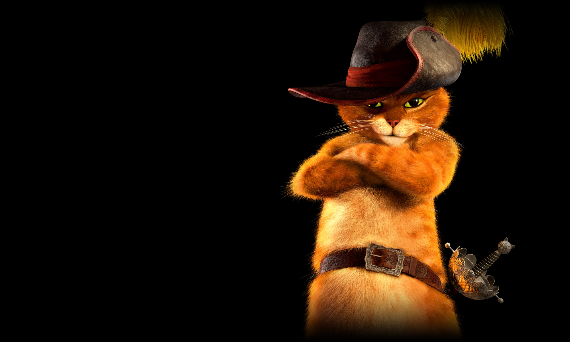 Puss In Boots Desktop Wallpaper Click Picture For High Resolution HD