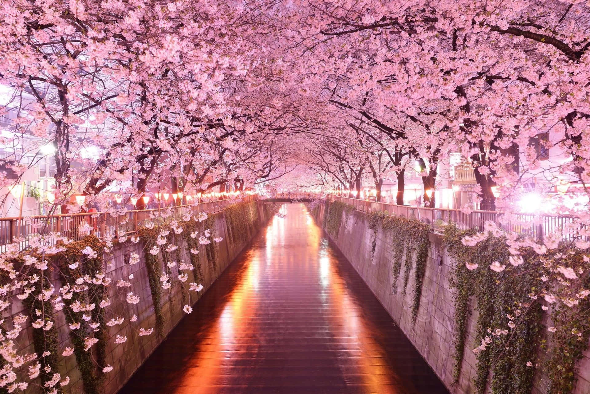 Japanese Pink Wallpaper