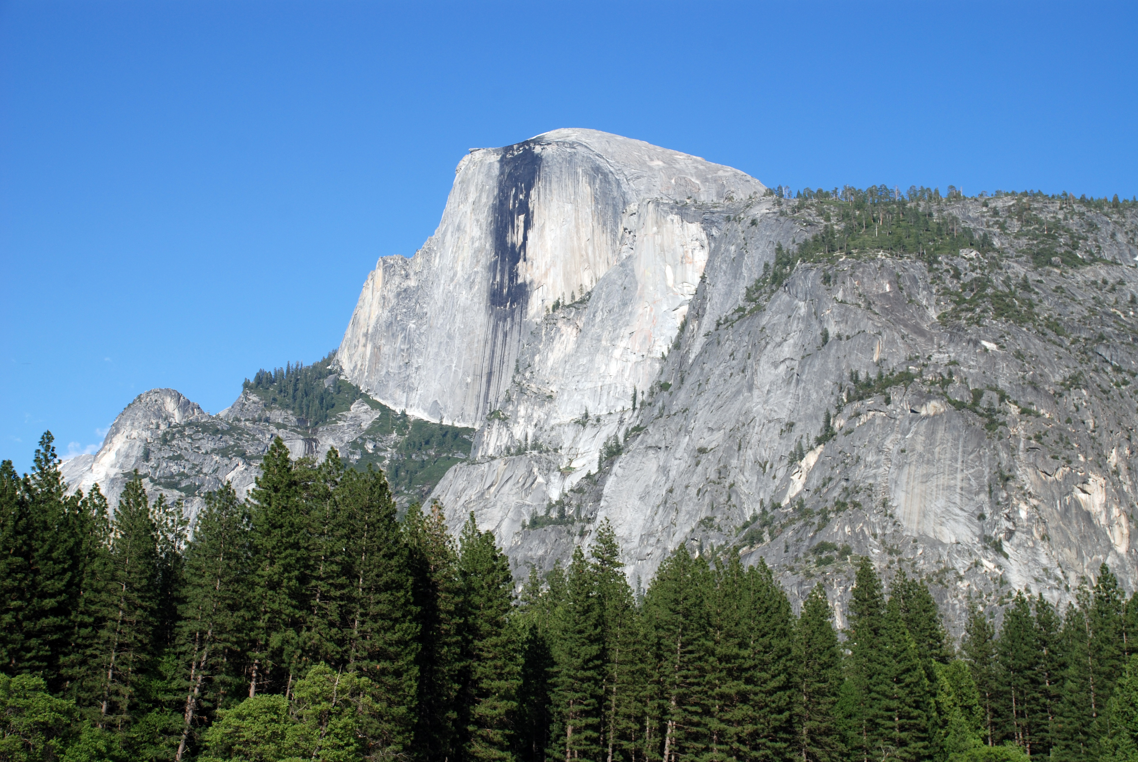 Half Dome From The Valley Floor