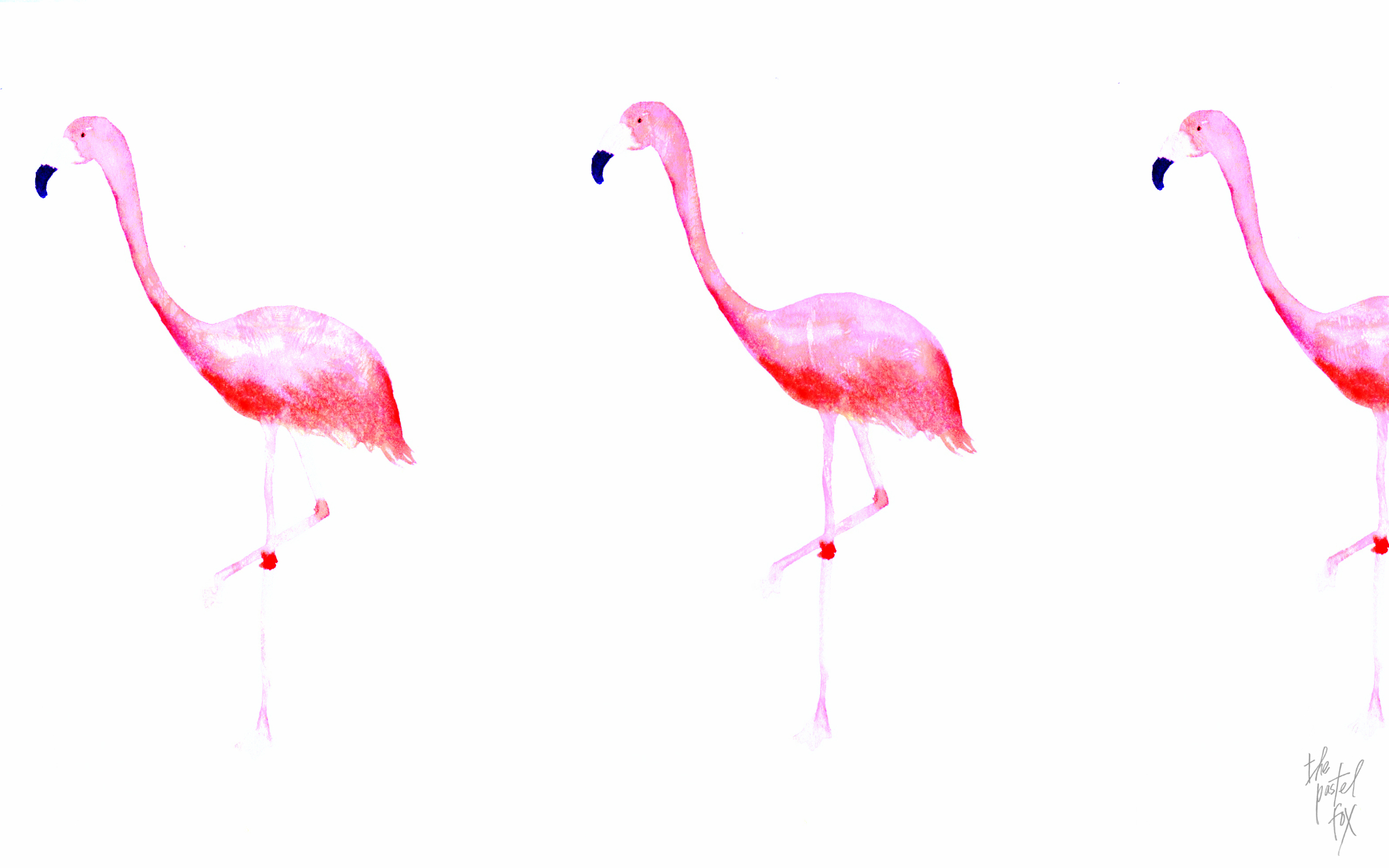 Flamingo Wallpaper HD