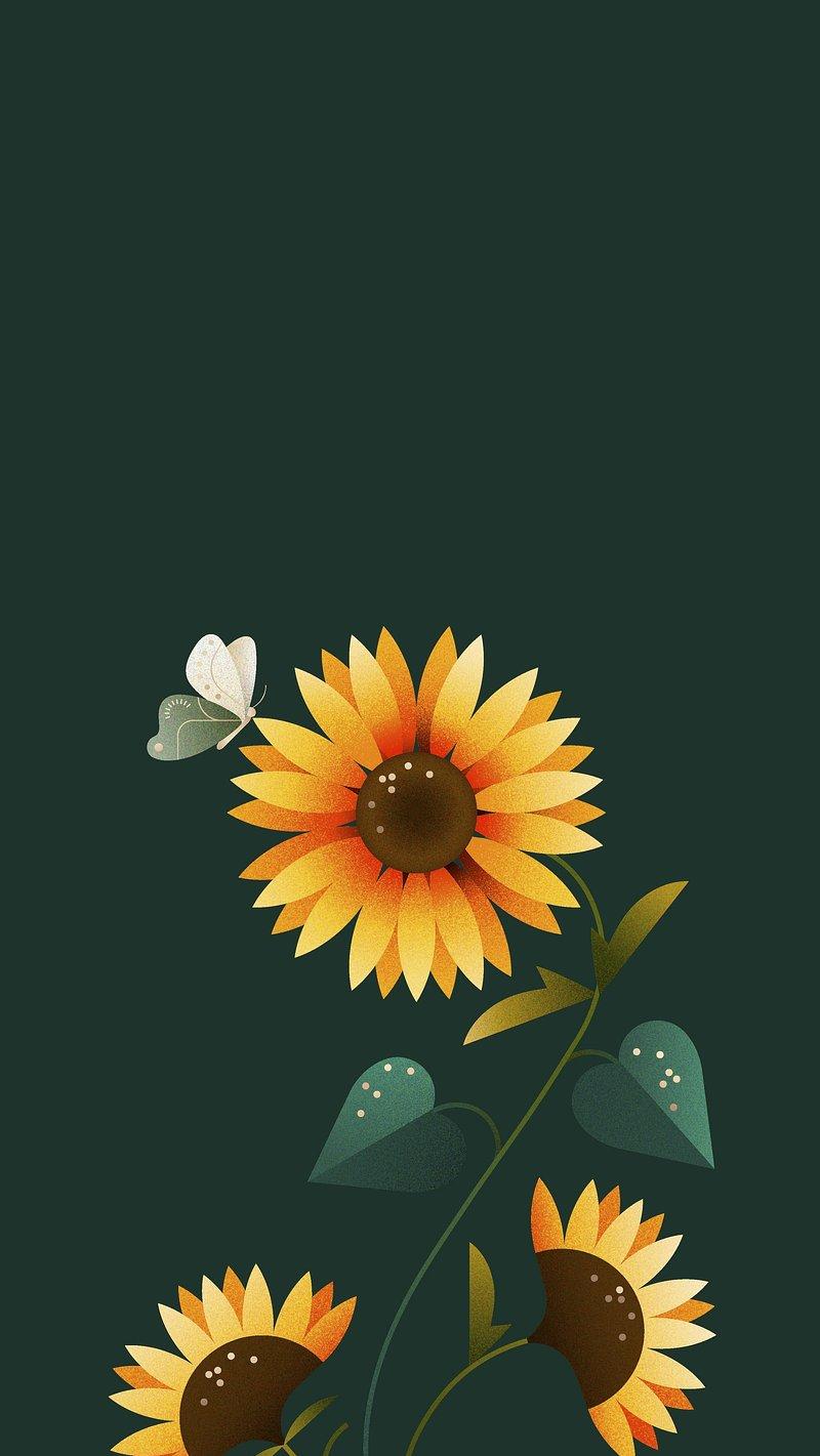 Sunflower Wallpaper Image Photos Png Stickers