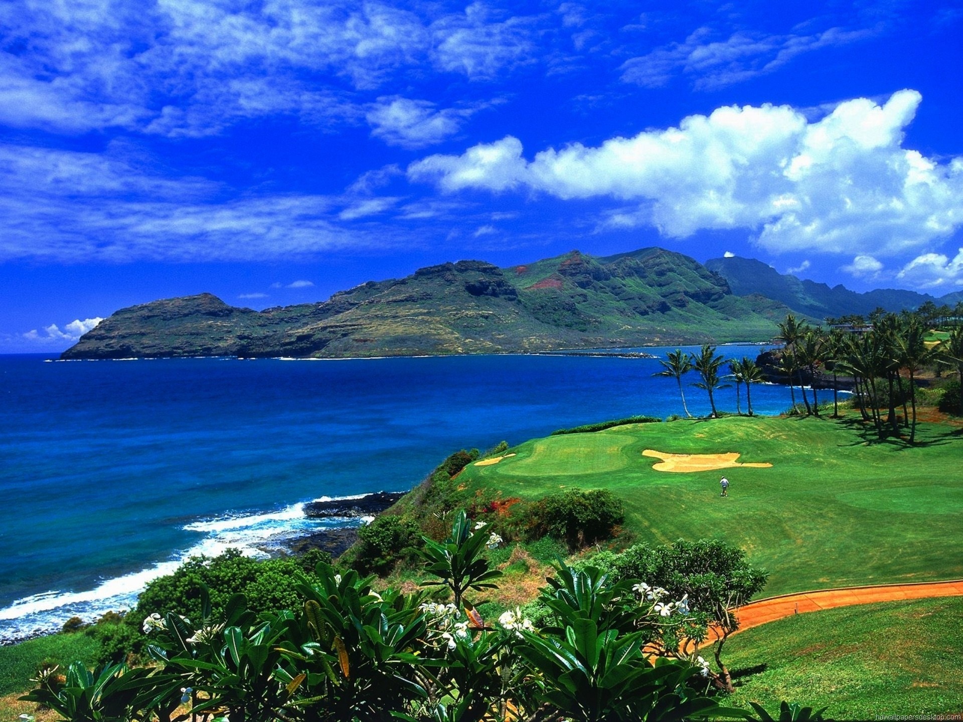 Full Screen Hd Wallpaper