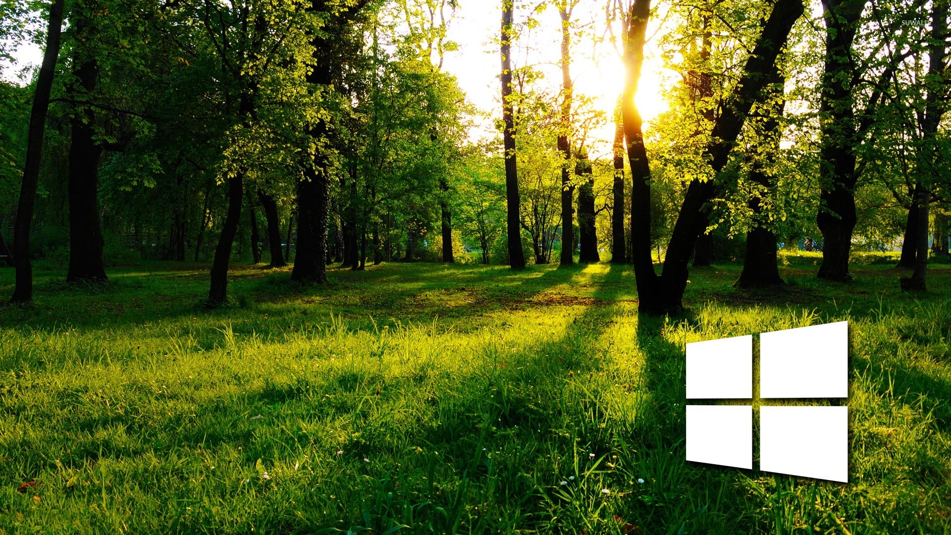 Windows In The Green Forest Simple Logo Wallpaper Puter