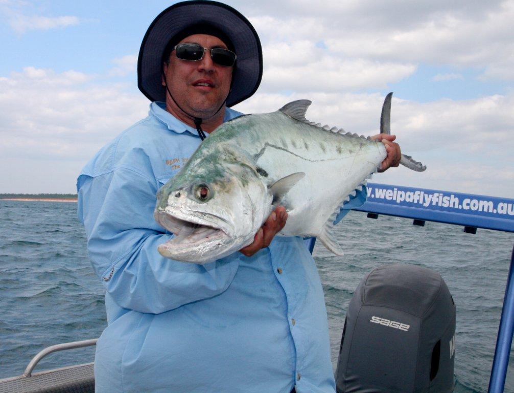 [49+] One Armed Wallpaper Hanger on WallpaperSafari