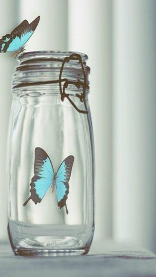 Blue Beautiful Butterfly In Glass Bottle iPhone Wallpaper