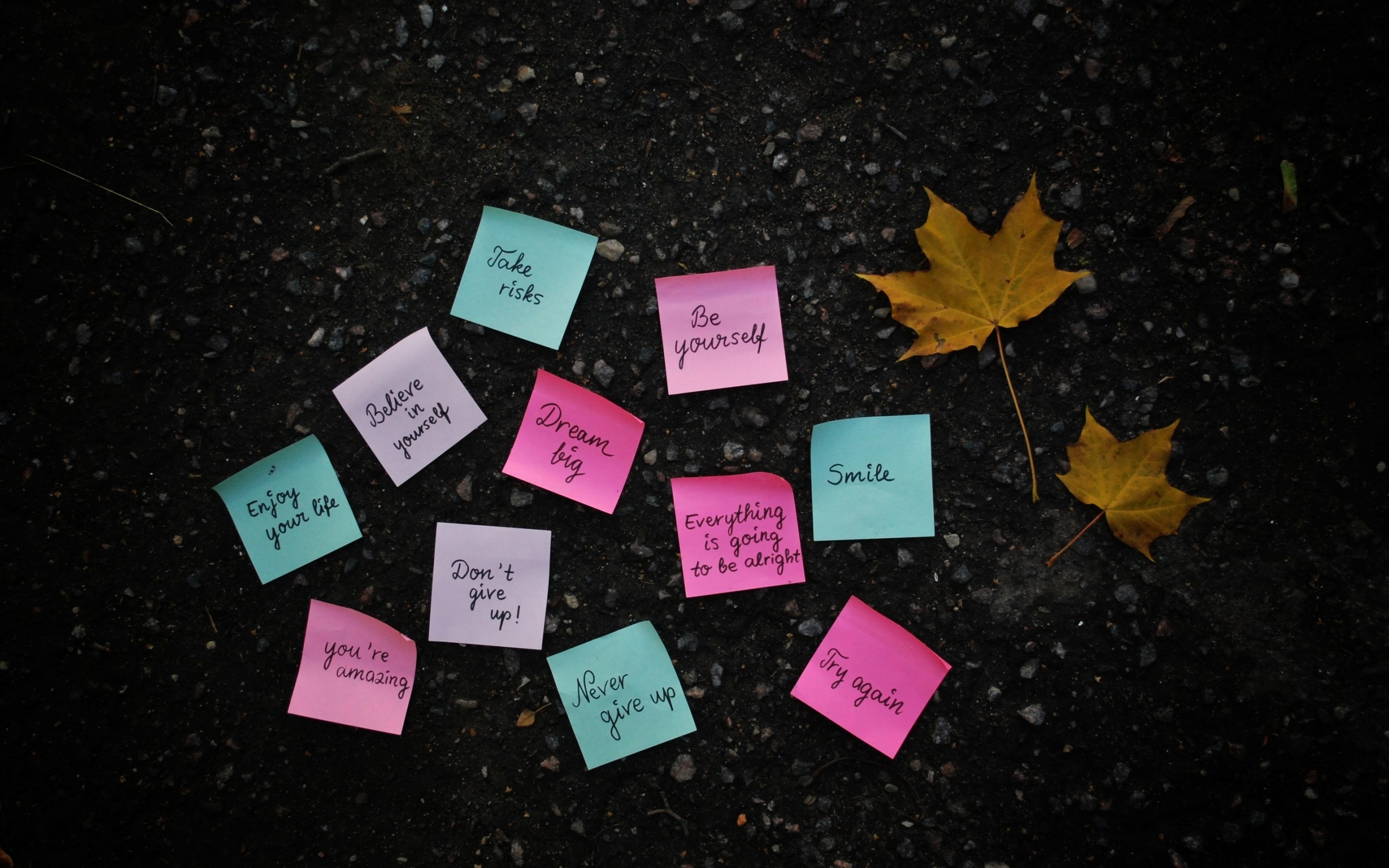 Uplifting sticky notes scattered on the ground with fall leaves, featuring motivational quotes like 'Be yourself', 'Dream big', and 'Everything is going to be alright'