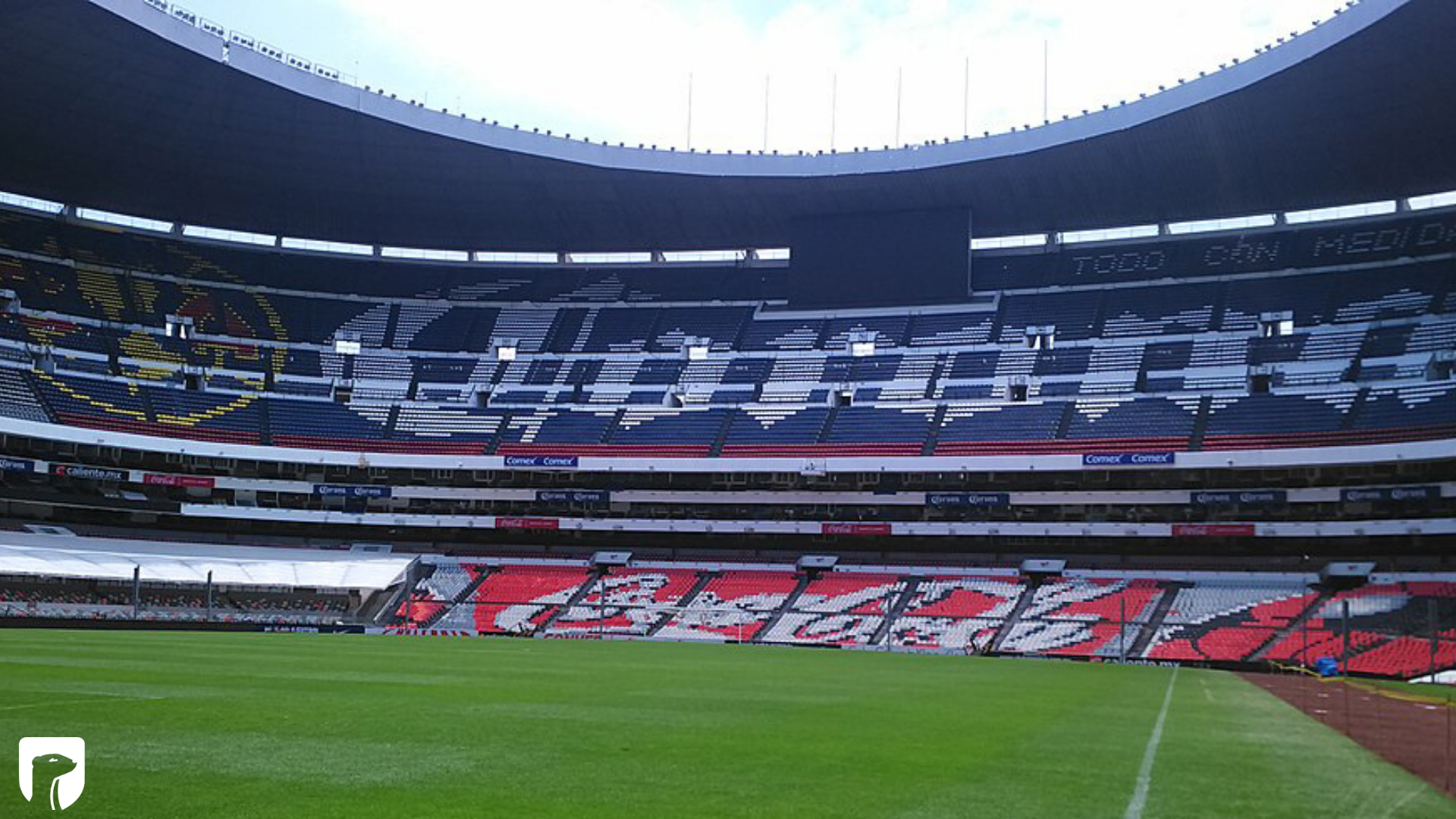 Football Soccer Stadium Zoom Background Weaselsfc
