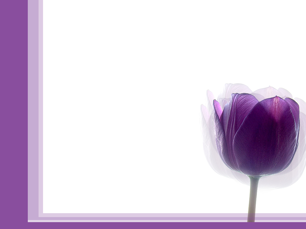 Purple Tulip Simple By Becka72