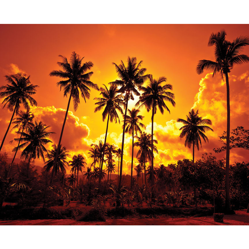 Scarface Palm Tree Mural Sizzling Hot Summer