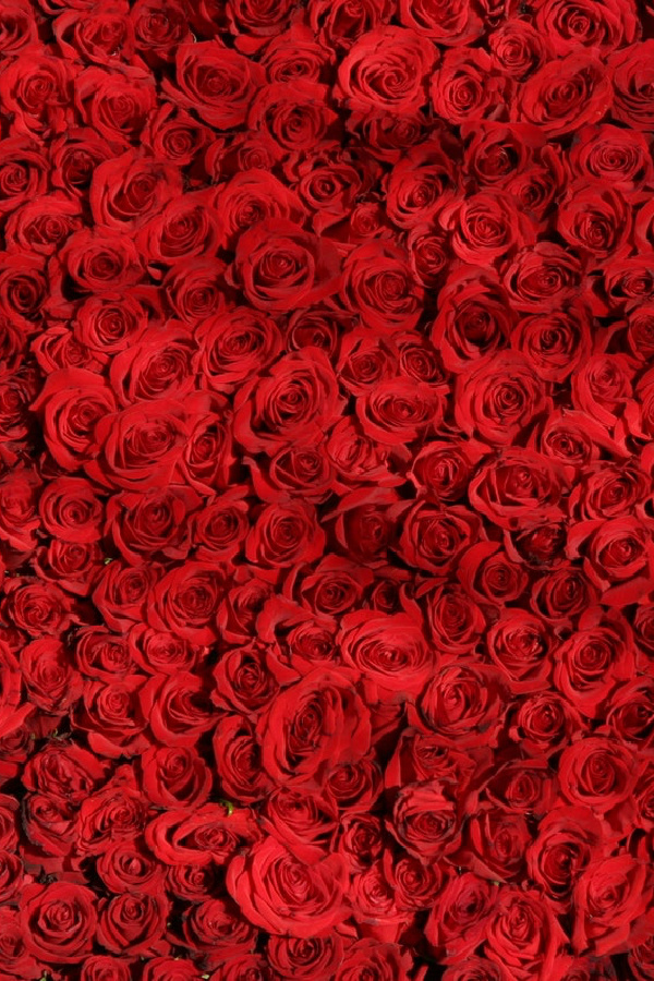 Corazones love valentine day HD phone wallpaper  Peakpx