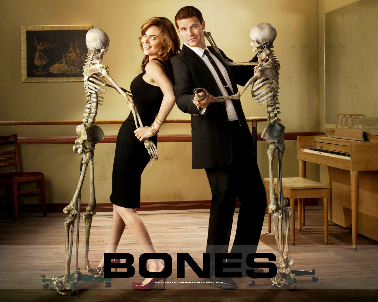 Booth And Bones Wallpaper Temperance Brennan