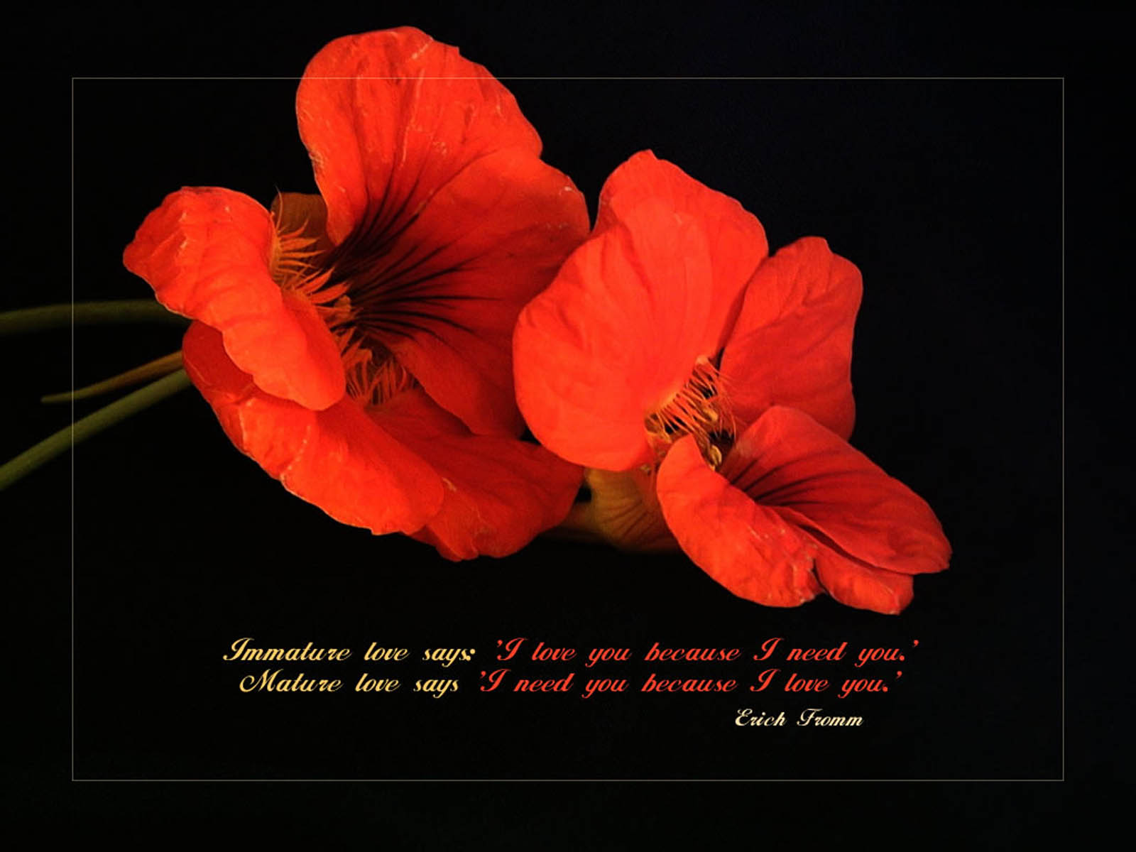 Love Quotes Desktop Background Photos Image