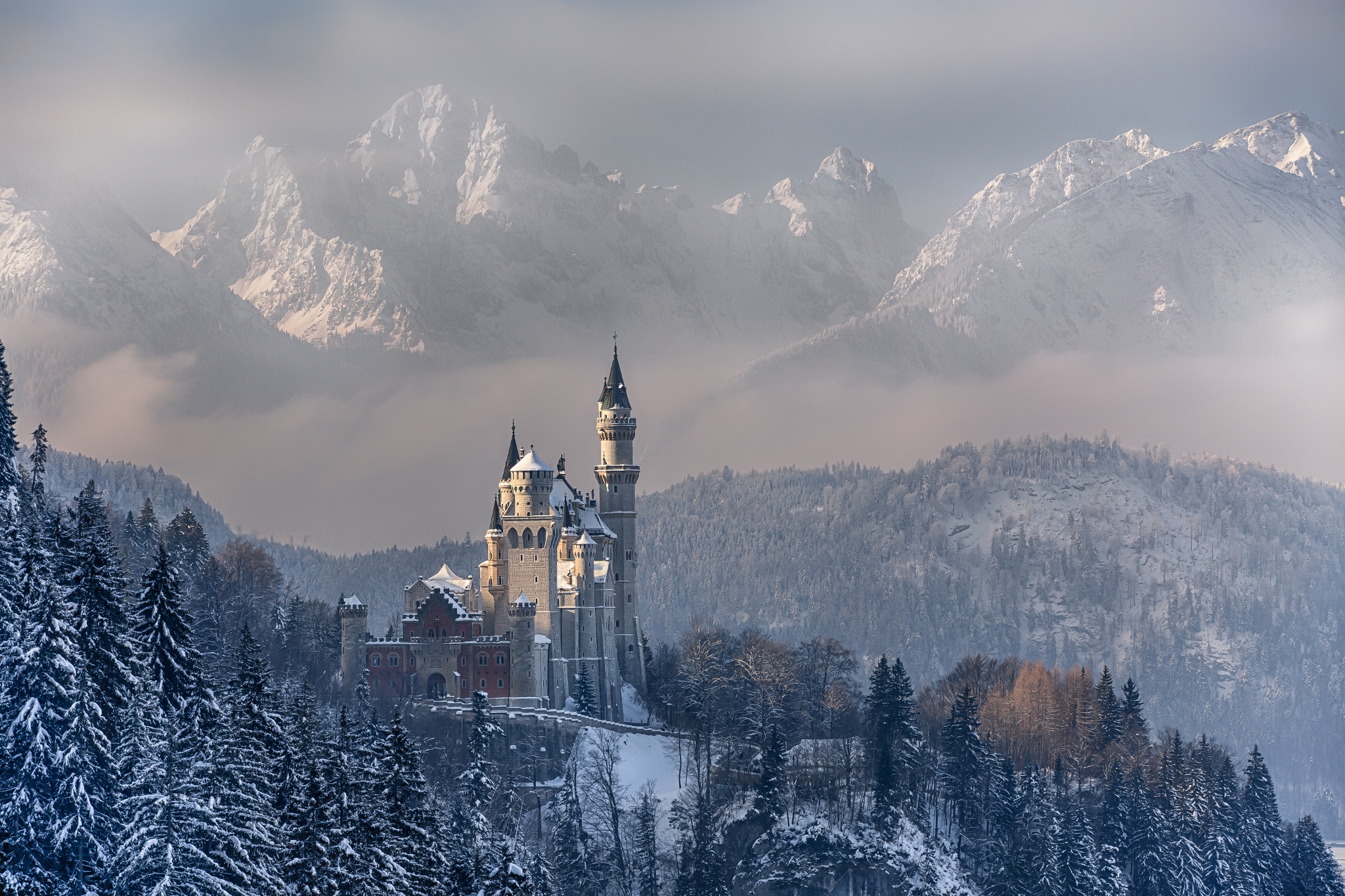 Neuschwanstein Castle Winter Mountains Bavaria Germany Desktop