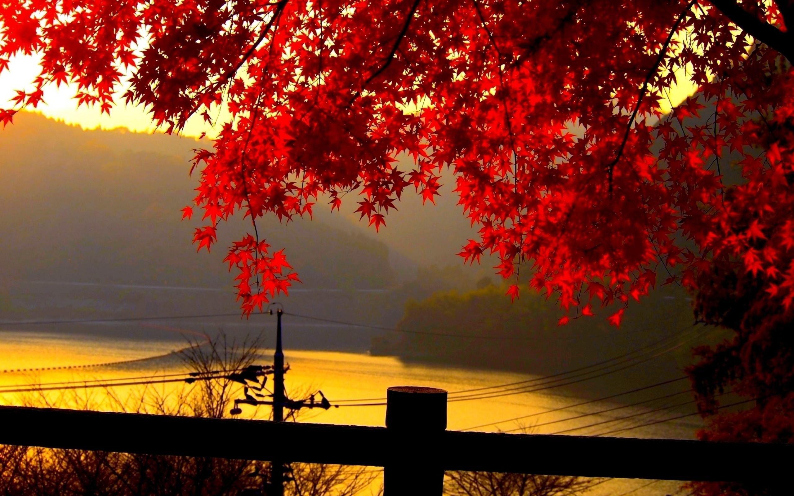 Fall Landscape Wallpaper Desktop Image Amp Pictures Becuo