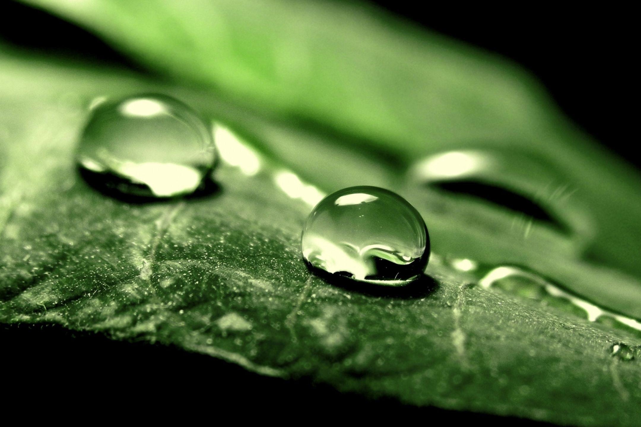 Surface Pro Wallpaper Quotes