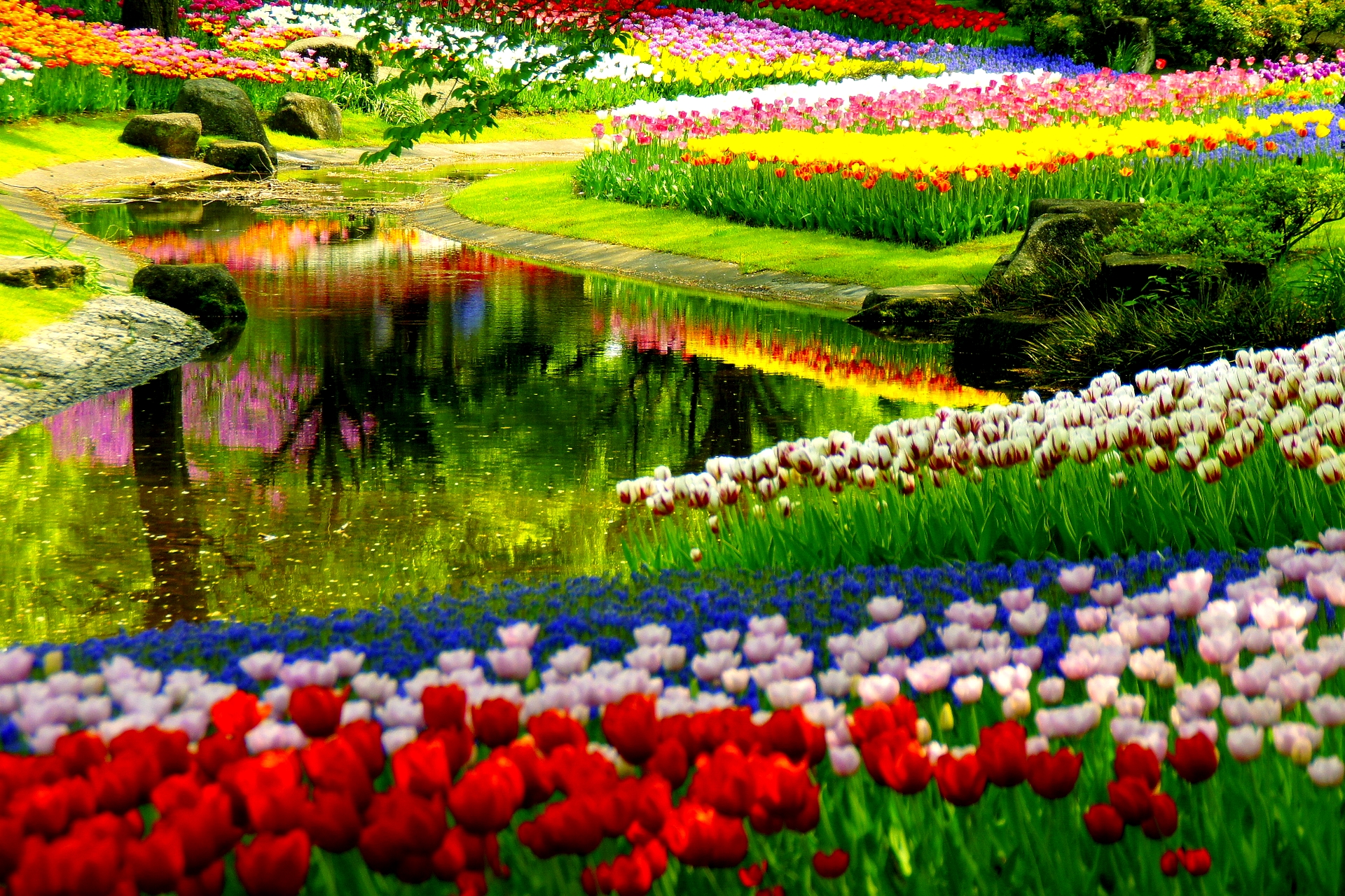 Beautiful Spring Pictures And Wallpaper