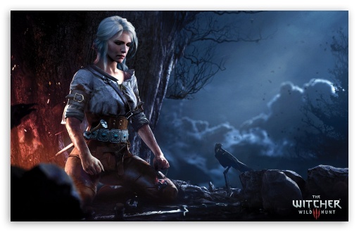 The Witcher Wild Hunt Ciri HD Wallpaper For Wide