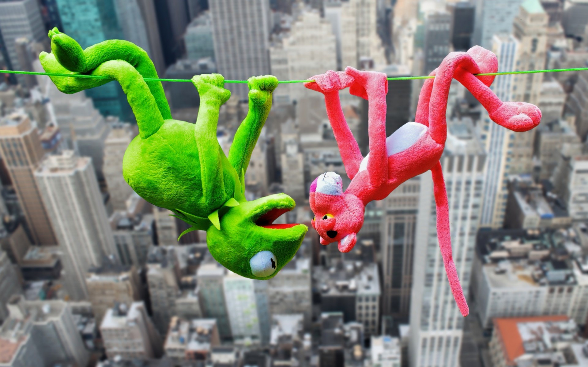 Kermit The Frog Wallpaper
