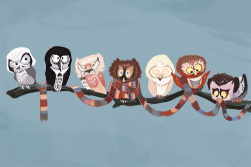 Adorable Owl Desktop Wallpaper Featuring Different Owls I Adore The