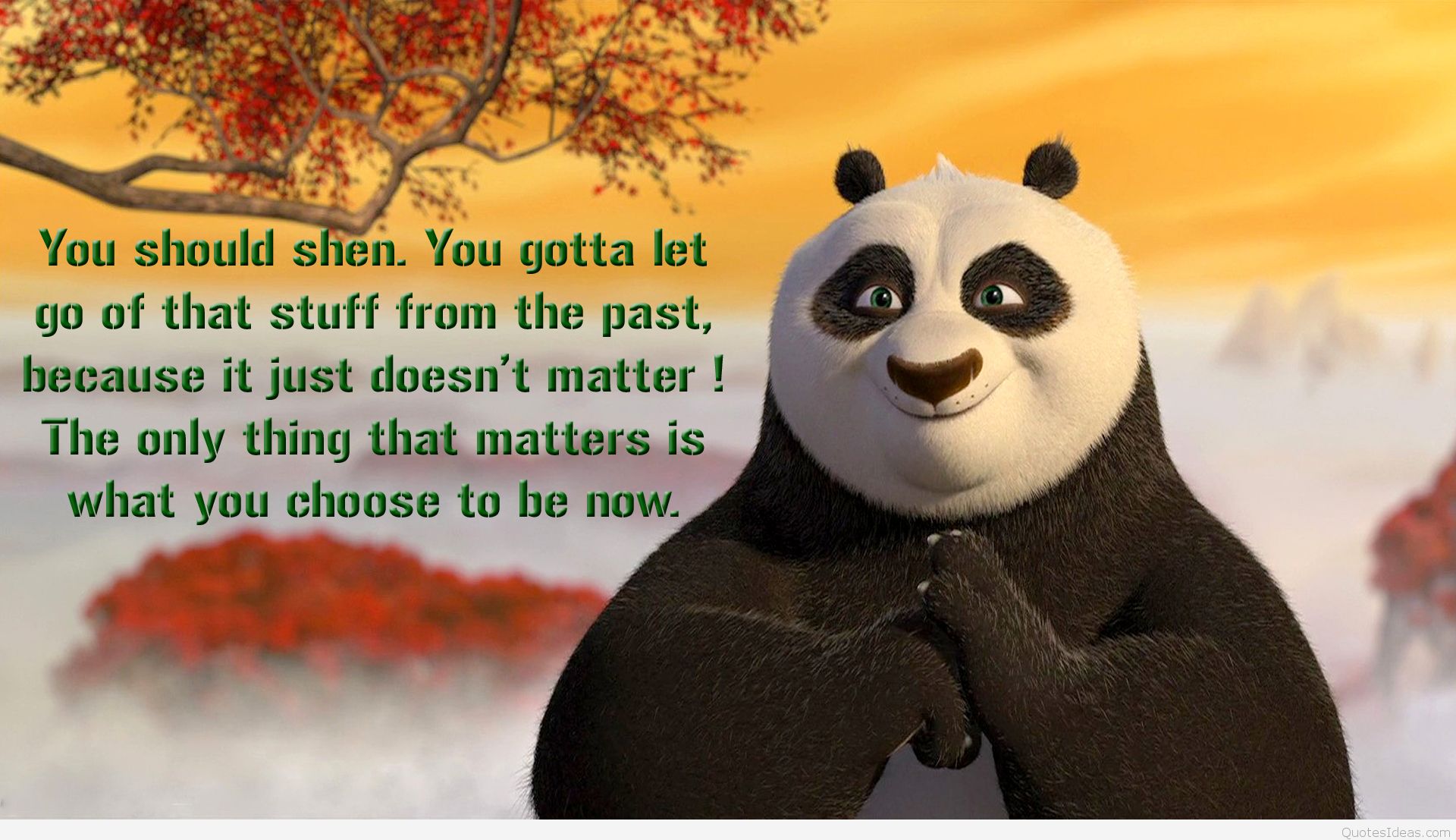 Funny Kung Fu Panda Quotes Sayings Pictures And Wallpaper
