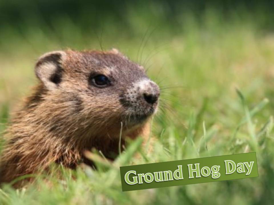 Ground Hog Day February