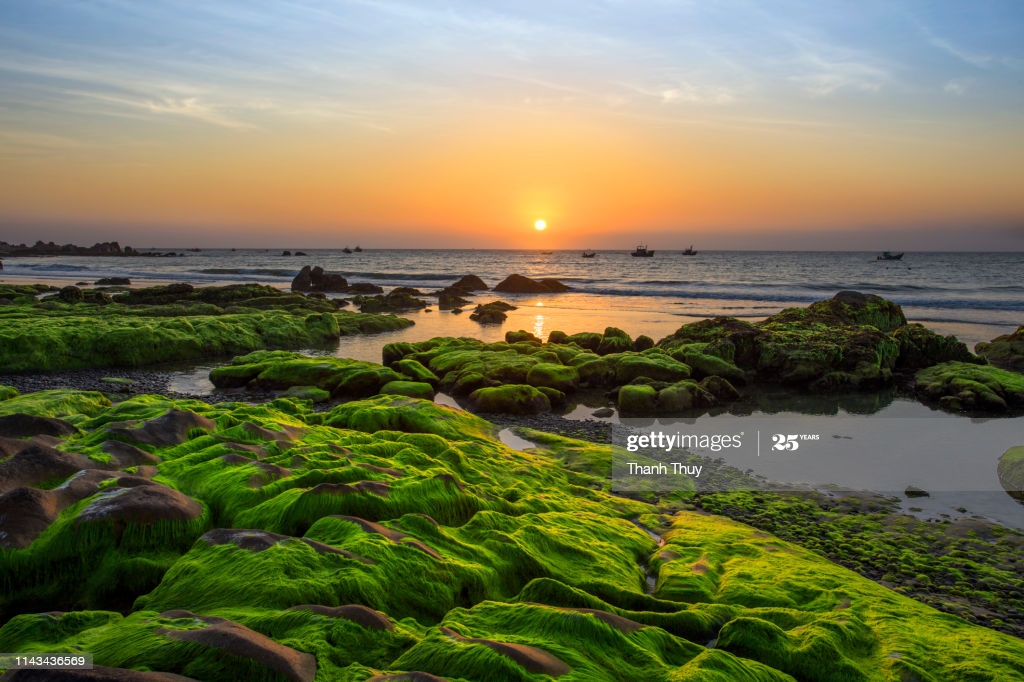 Ancient Beach Rock Moss Vietnam Background White Isolated Co Thach