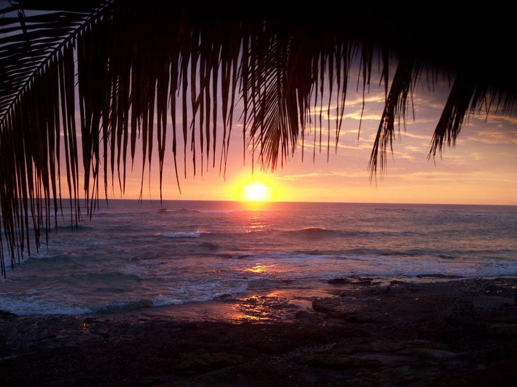 Tropical Island Sunset Wallpapers