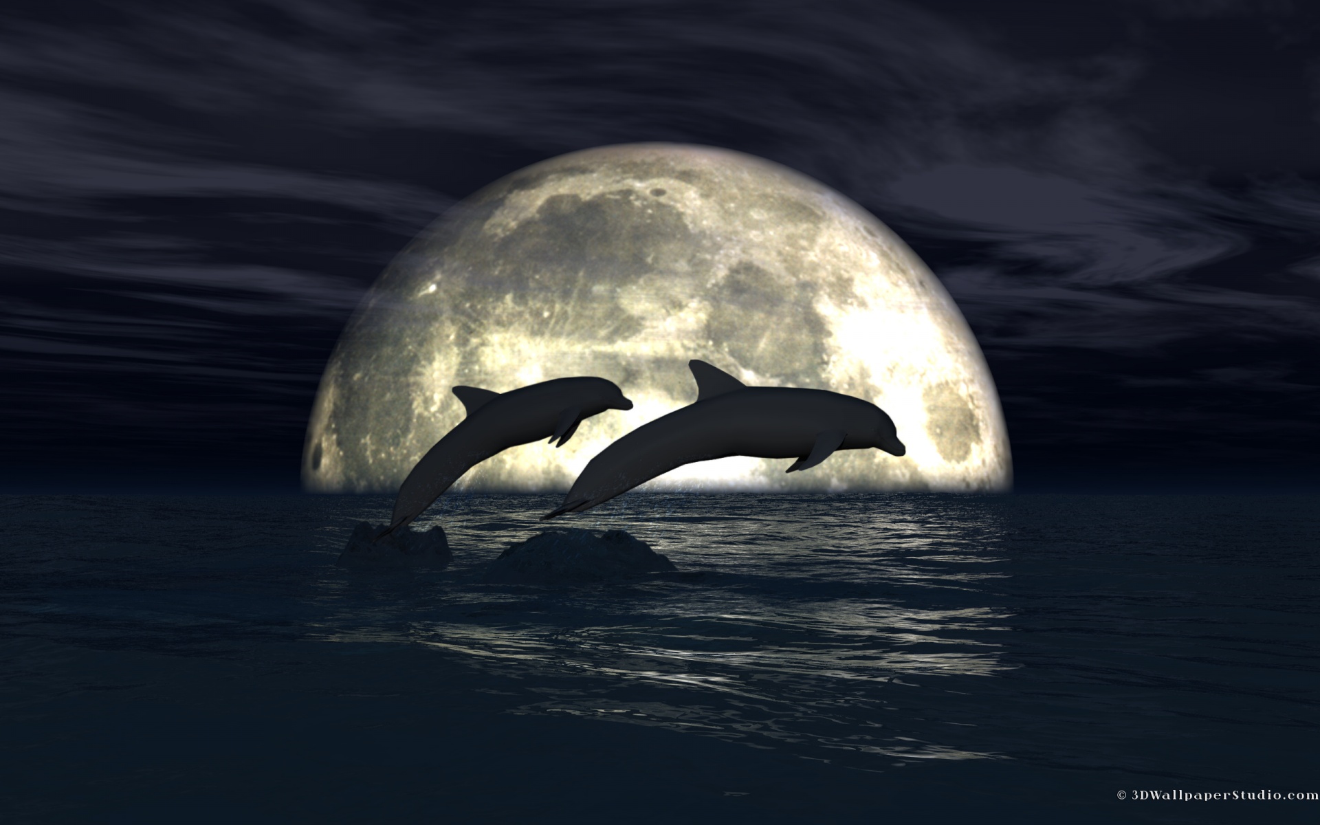 Moonlight Dolphins Papers Background Wallpaper