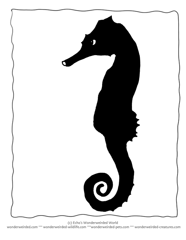 Seahorse Silhouette For