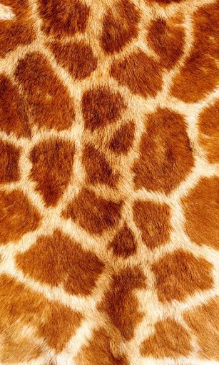 Bigger Giraffe Print Live Wallpaper For Android Screenshot