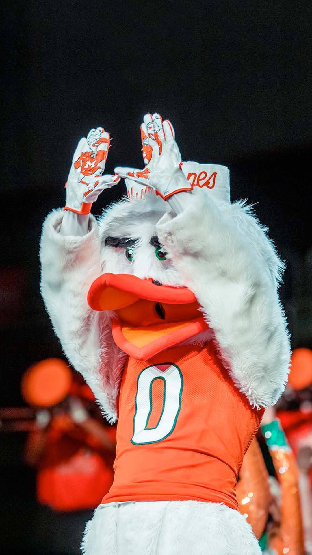 University Of Miami Wallpaper