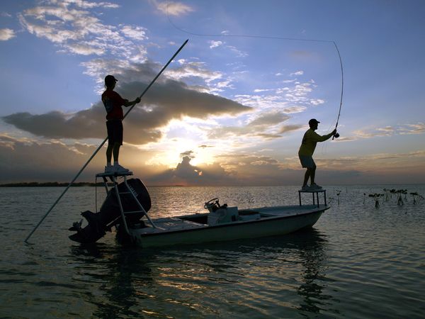 Fly Fish For The Florida Keys Slam Best American Adventures