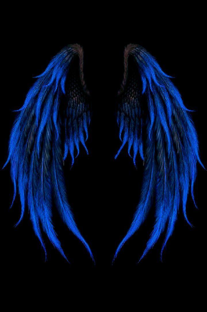 My Fallen Dark Angel Hawks X Black Reader Wings Drawing