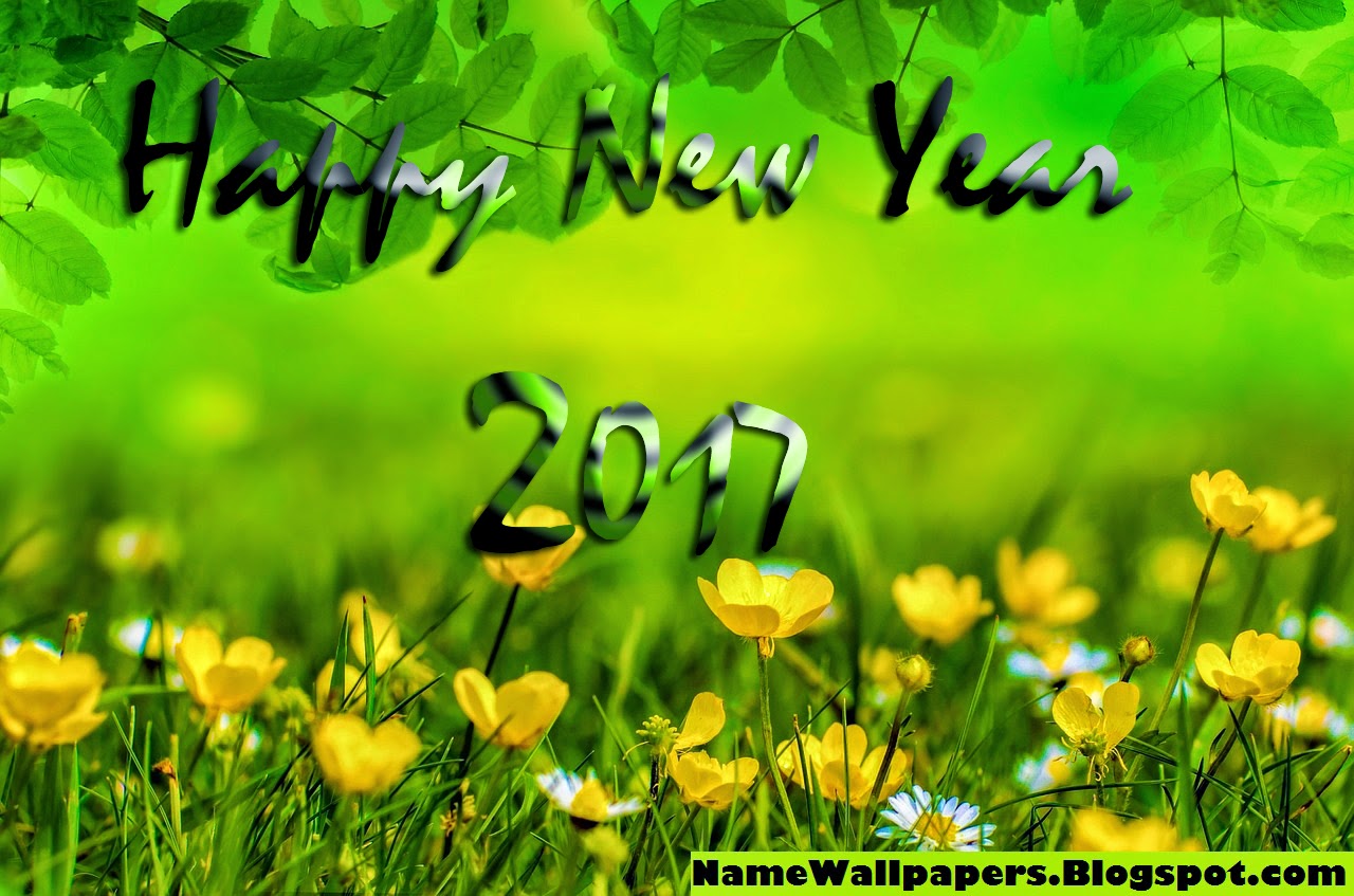 Happy New Year Wallpaper HD Image Pictures