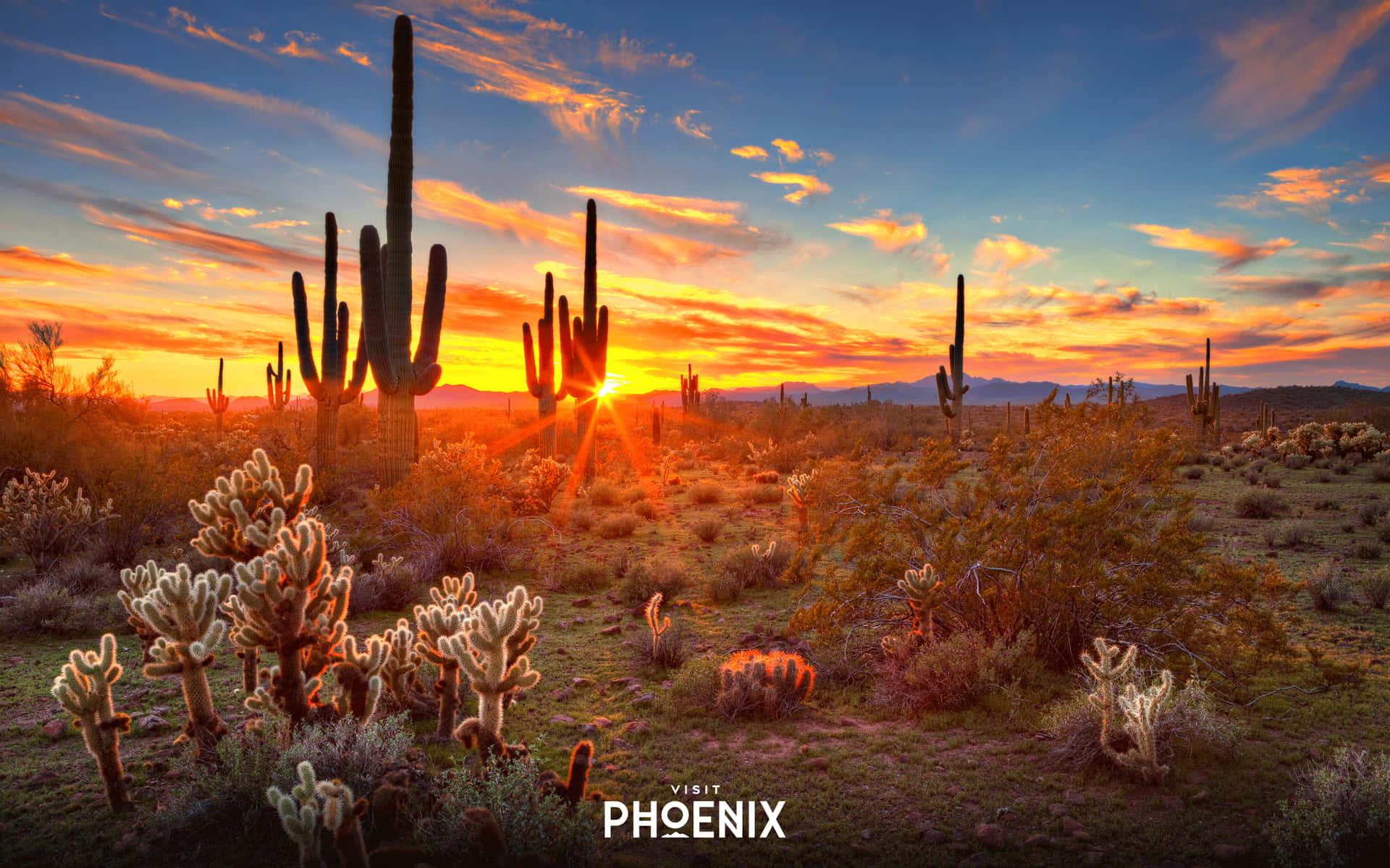 Download Image Phoenix Arizona Skyline at Sunset Wallpaper