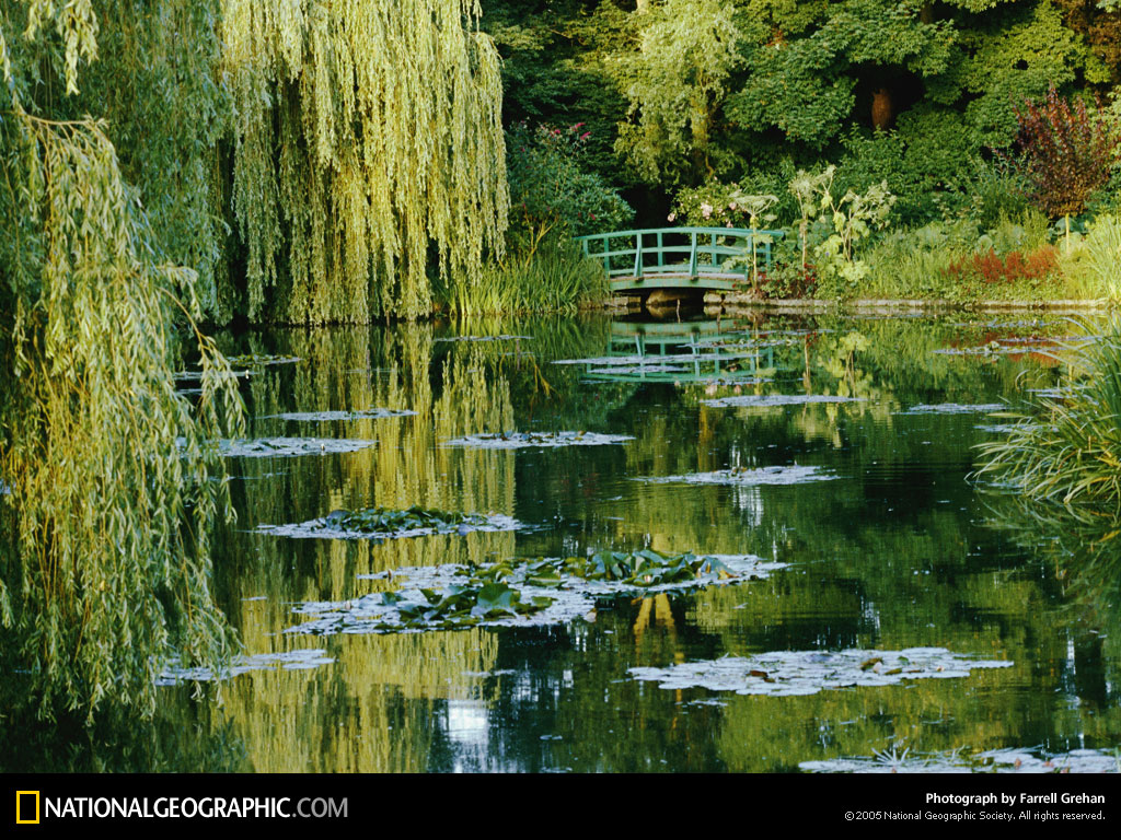 Pond Photo Of The Day Picture Photography Wallpaper