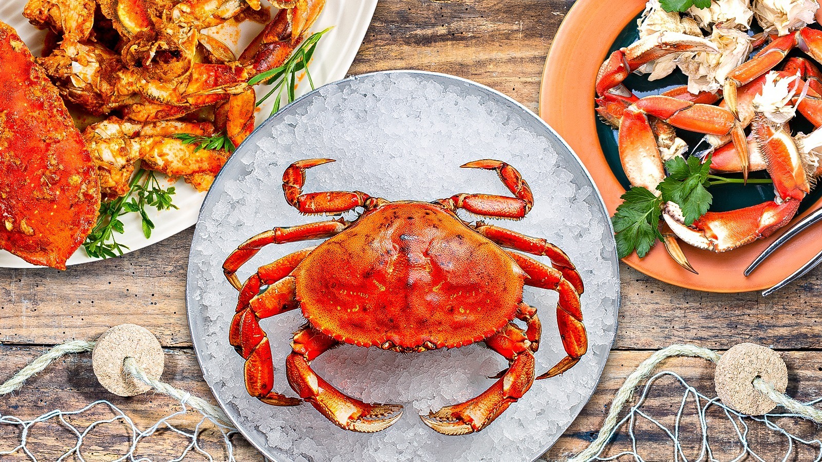What Makes Dungeness Crab Unique Wallpaper