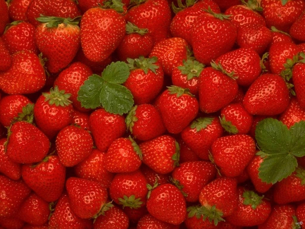 Strawberries Food And Drink Wallpaper Image Featuring Fruit