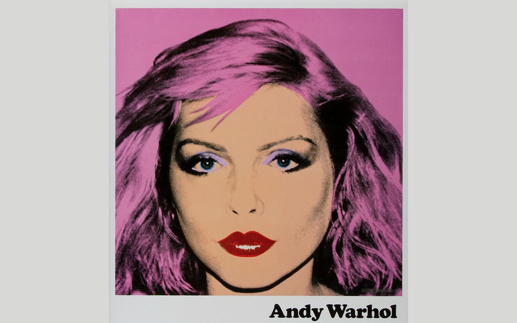 Andy Warhol Wallpaper Desktop Art Background