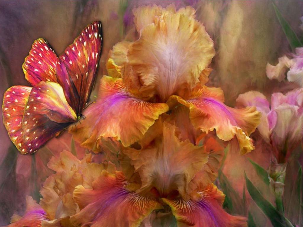 Beautiful Flower Wallpaper Nature HD