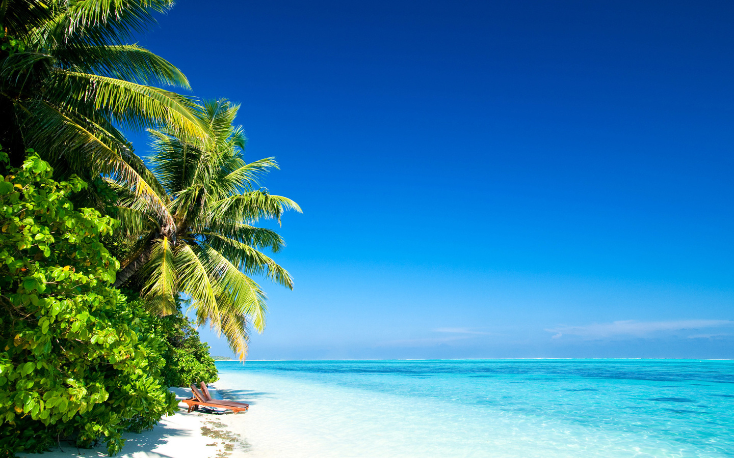Wallpaper Island Beach Sand Ocean Water Palm Trees Sky