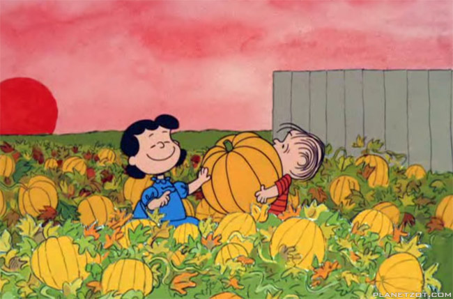 It S The Great Pumpkin Charlie Brown Image Wallpaper
